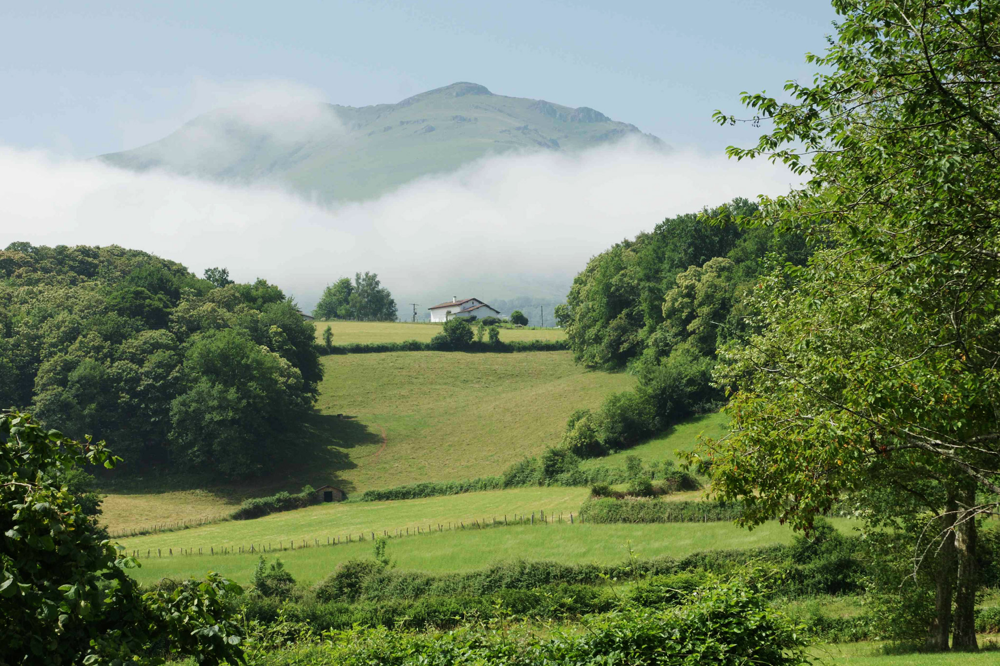 Paysage d'Irouleguy