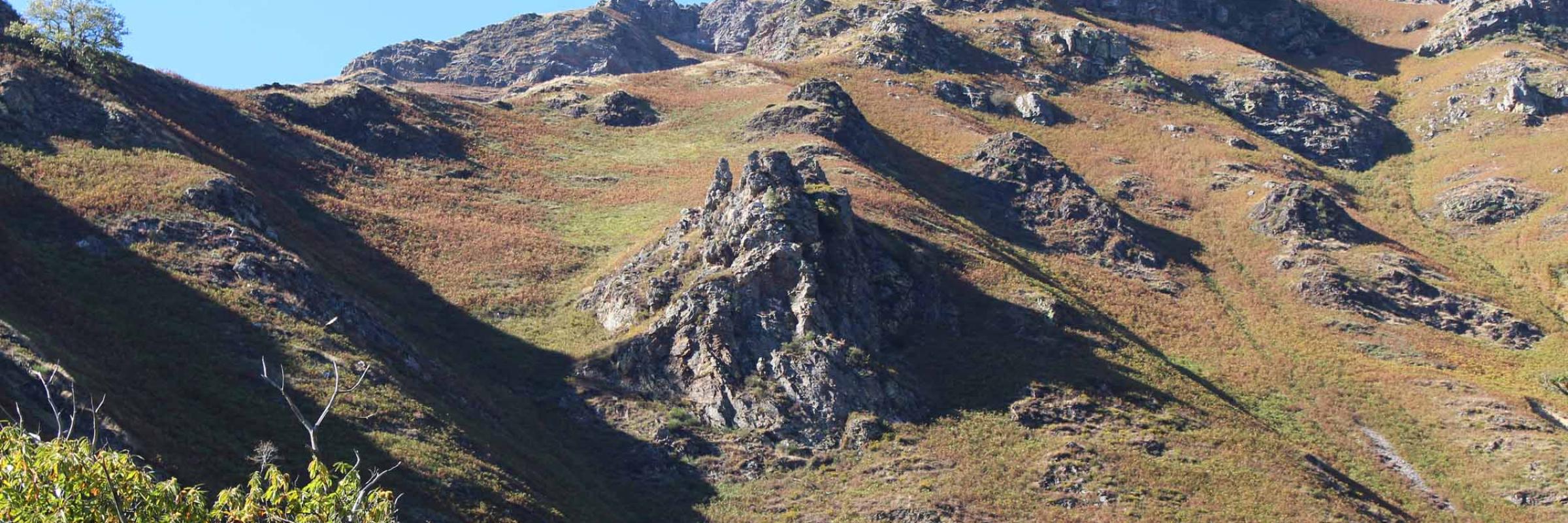 vignoble d Irouleguy au Pays Basque