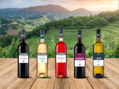 Domaine Agerria, vins Irouléguy AOP